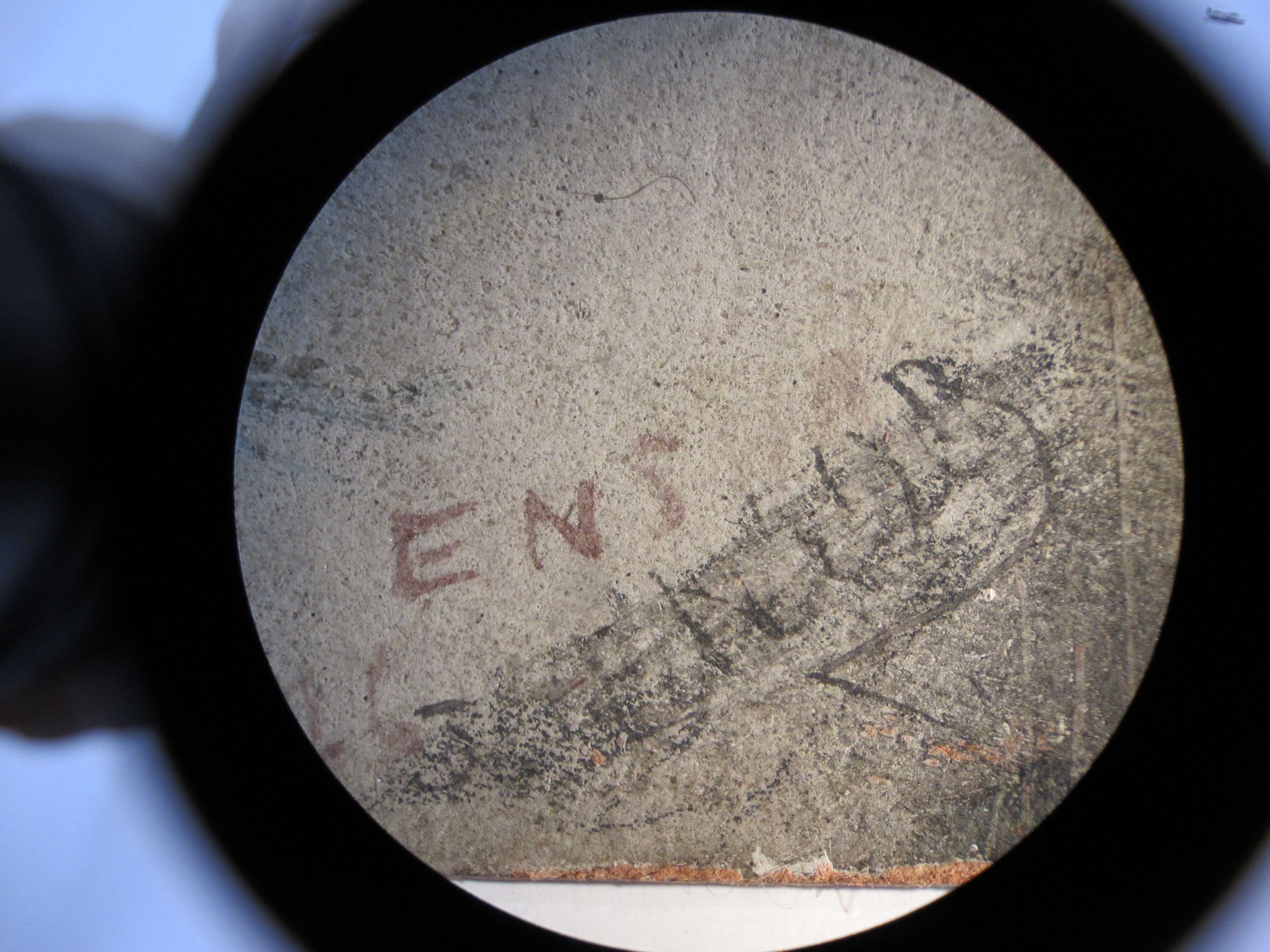 IIIF Image