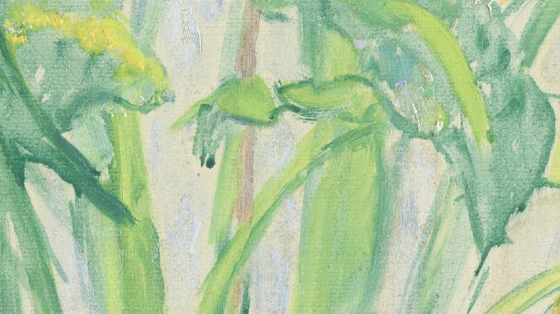 IIIF Image