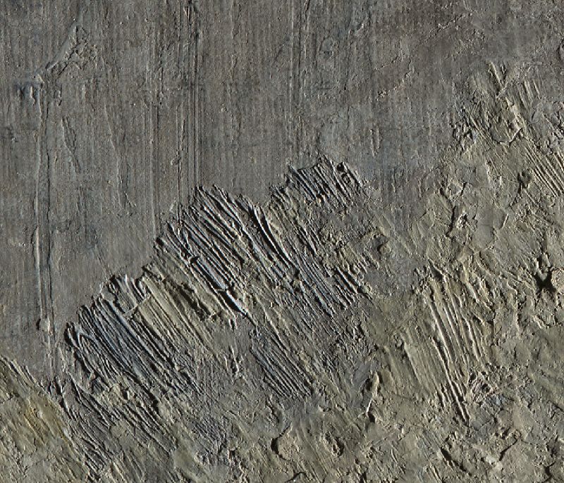 IIIF Image