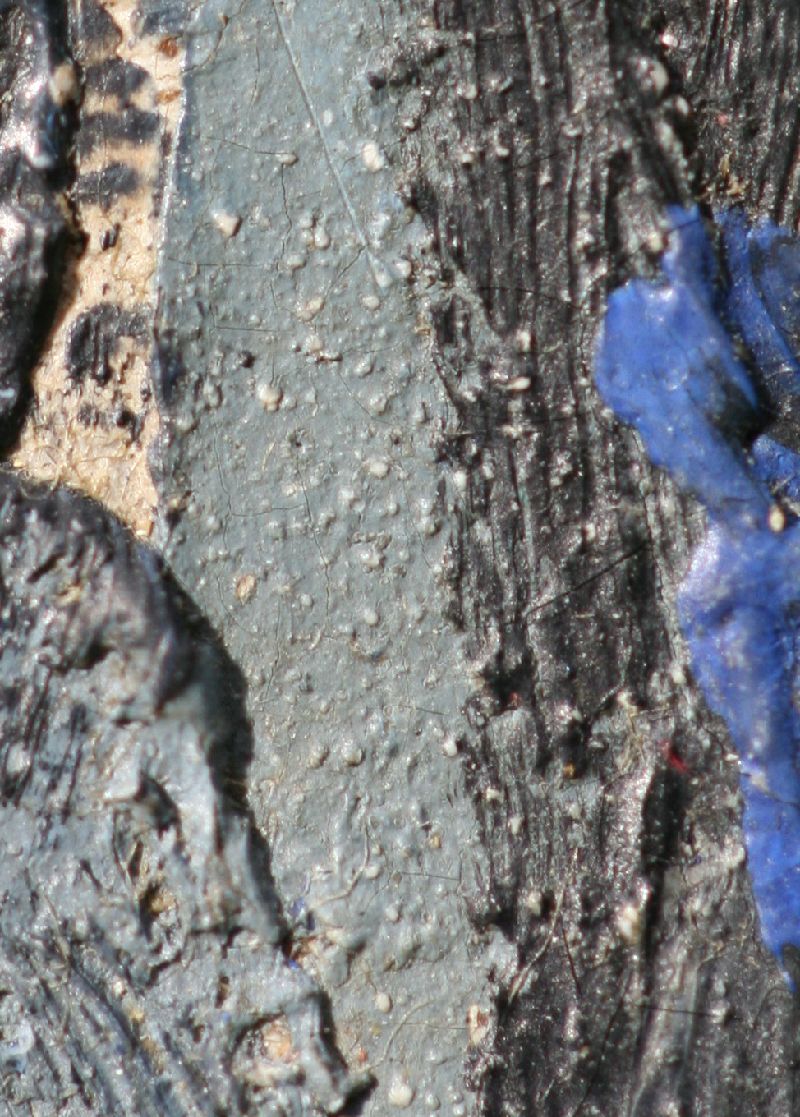 IIIF Image