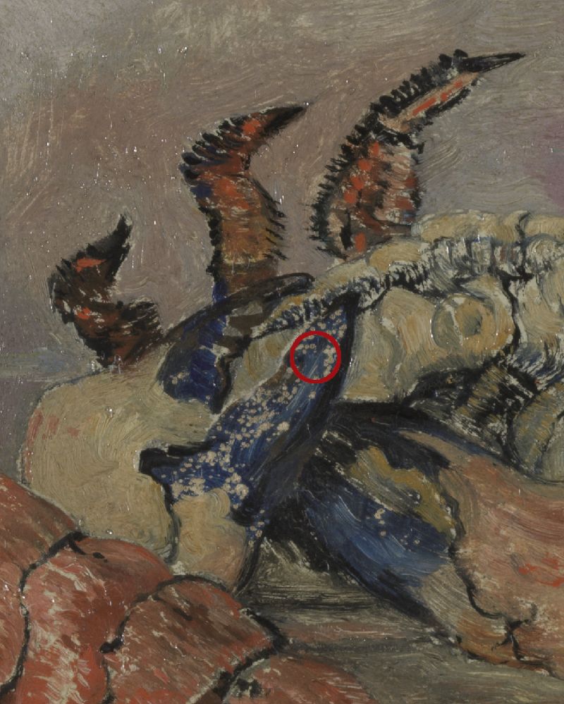 IIIF Image