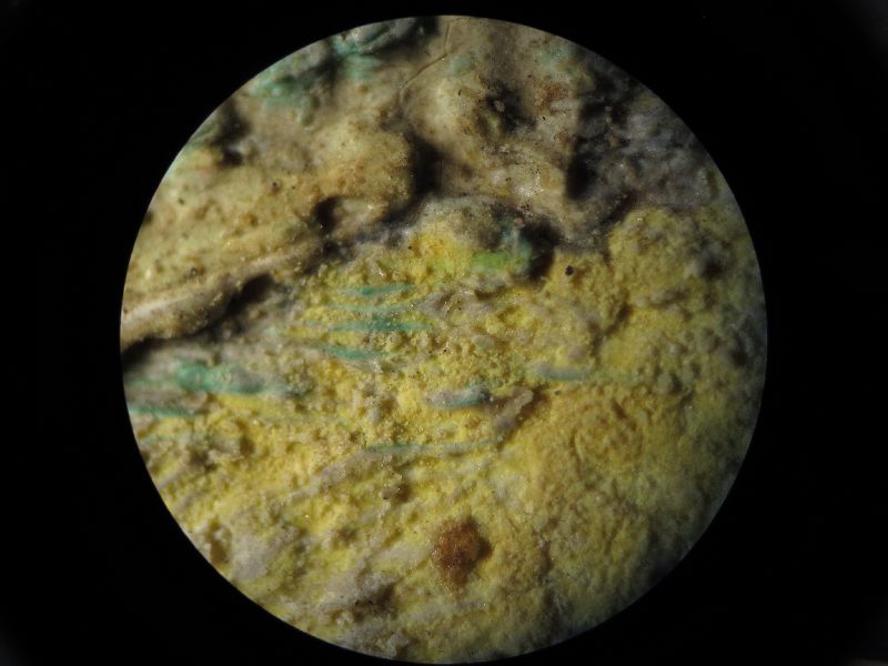 IIIF Image