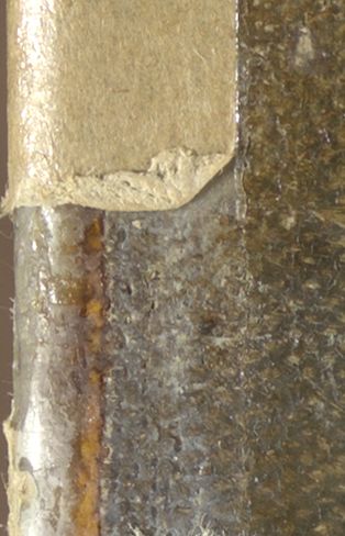 IIIF Image