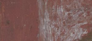 IIIF Image