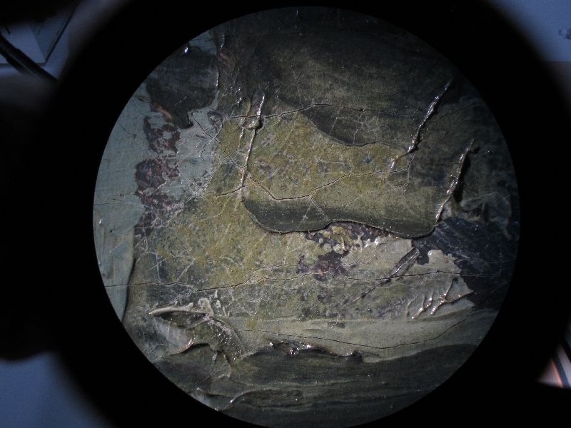 IIIF Image