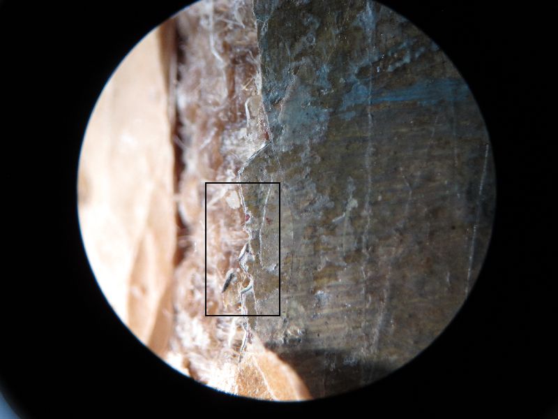 IIIF Image