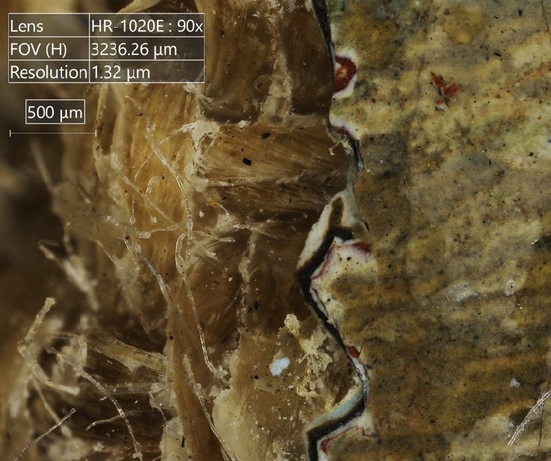 IIIF Image