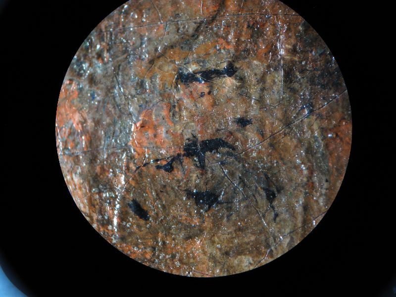IIIF Image