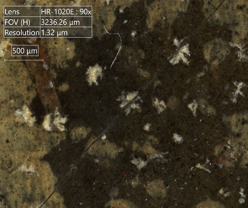 IIIF Image
