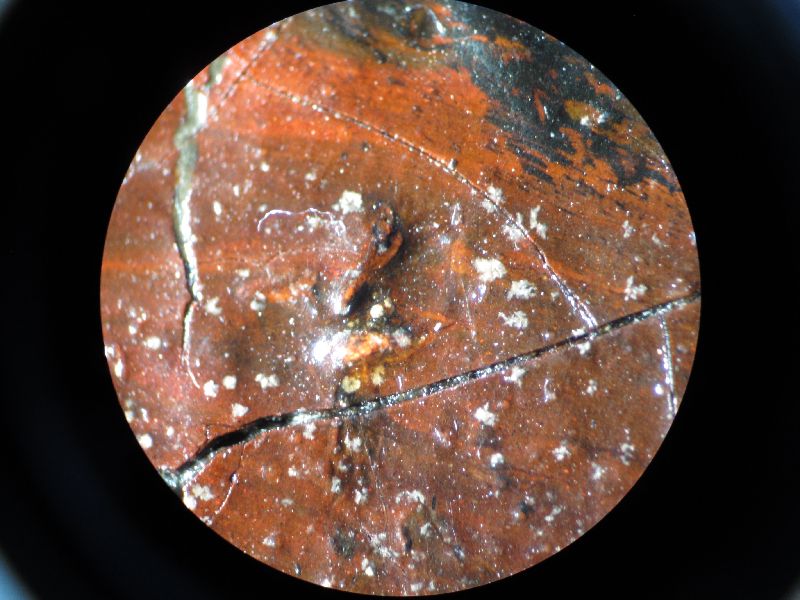 IIIF Image
