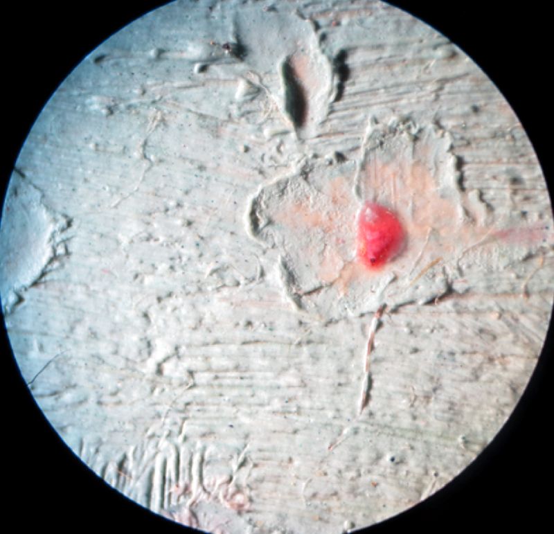 IIIF Image