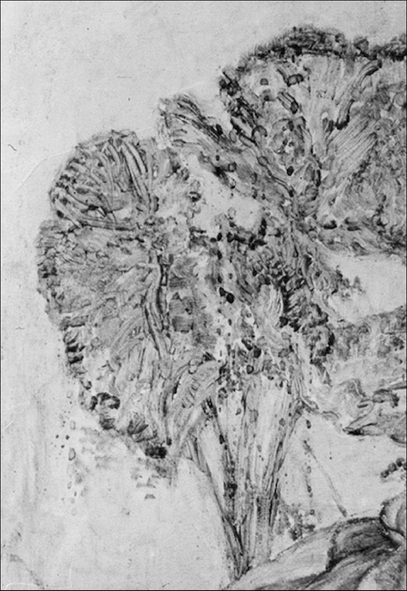 IIIF Image