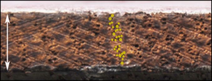 IIIF Image