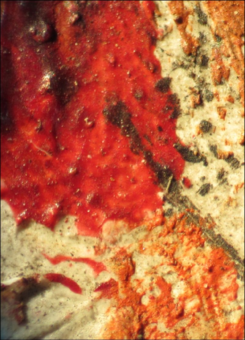 IIIF Image