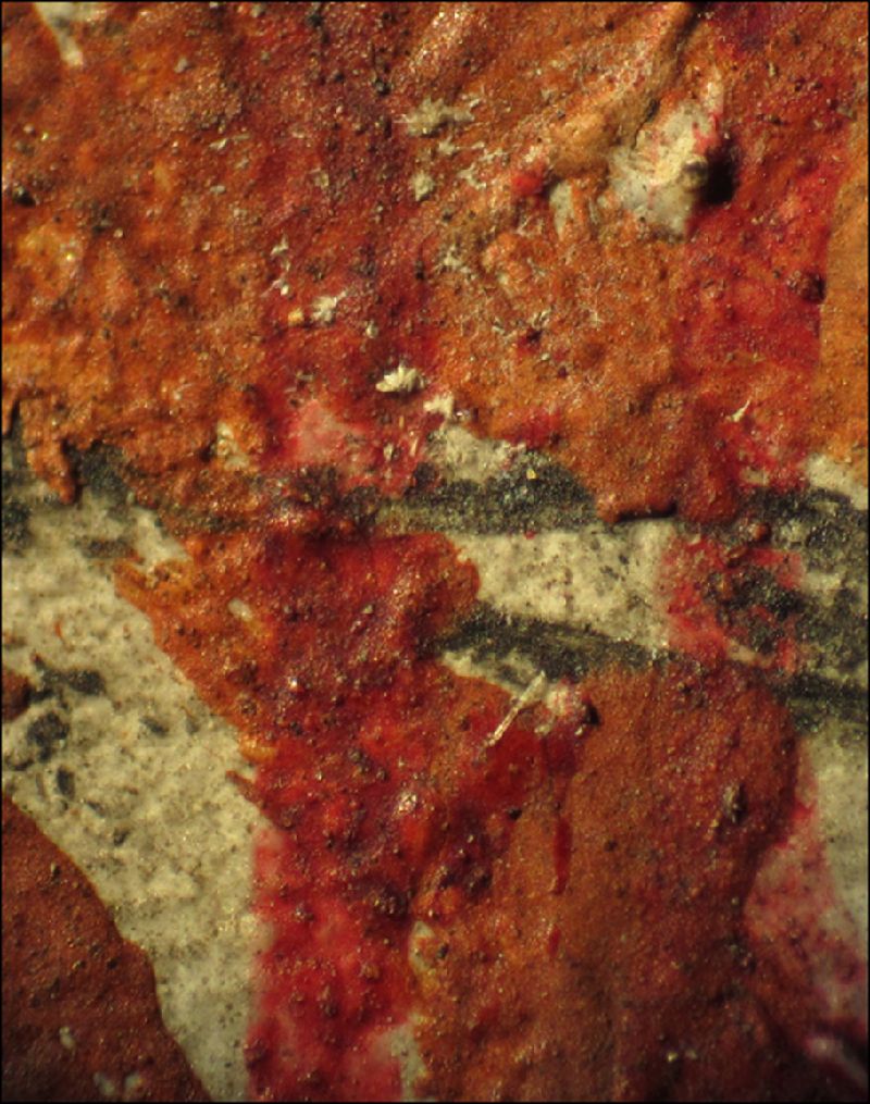 IIIF Image