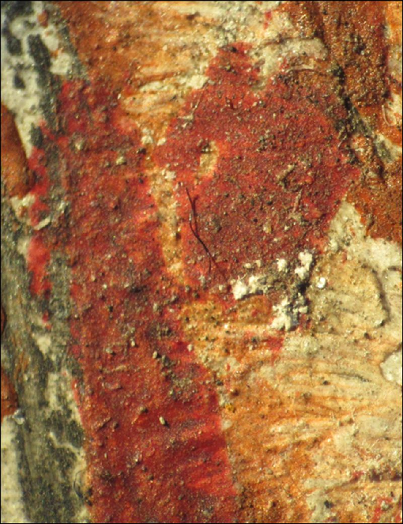 IIIF Image