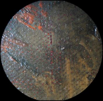 IIIF Image