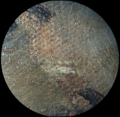 IIIF Image