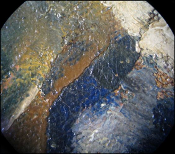 IIIF Image