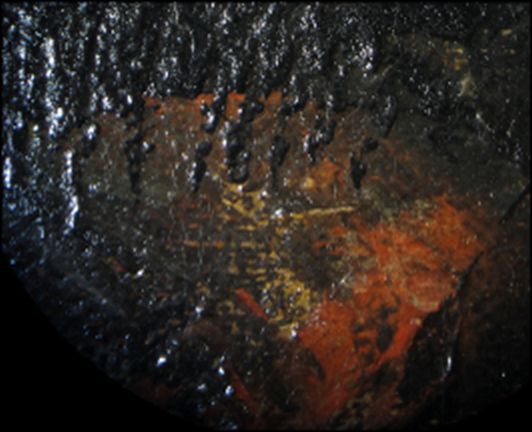 IIIF Image