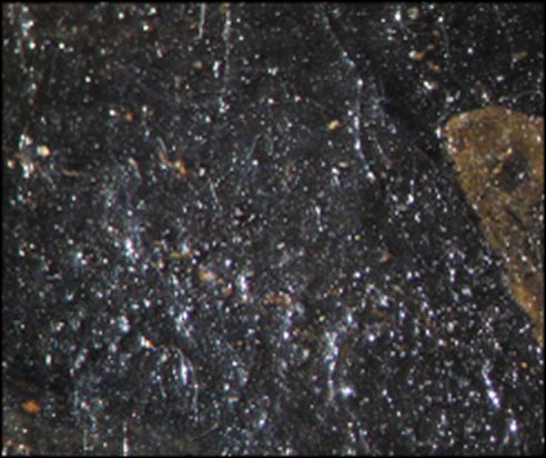 IIIF Image