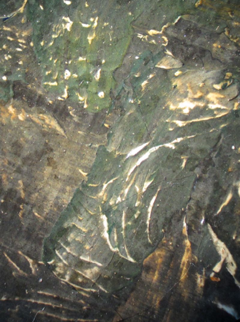 IIIF Image