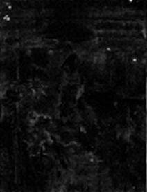 IIIF Image