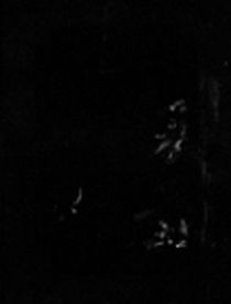 IIIF Image
